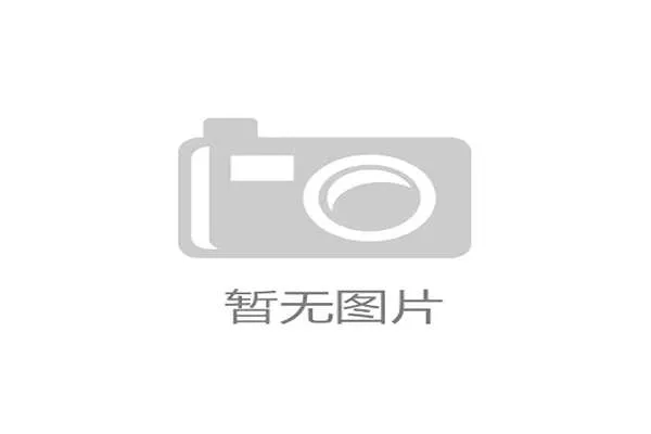 10款主流运动地板横评：部分产品虽宣称符合EN14904，但落锤实测冲击吸收率与标称值差异高达12%